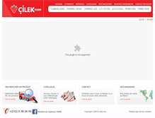 Tablet Screenshot of cilek.ma